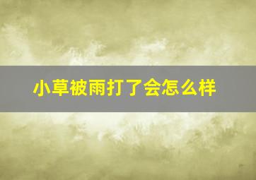 小草被雨打了会怎么样