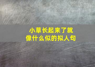 小草长起来了就像什么似的拟人句