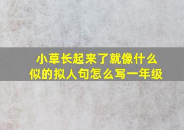 小草长起来了就像什么似的拟人句怎么写一年级