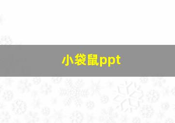 小袋鼠ppt