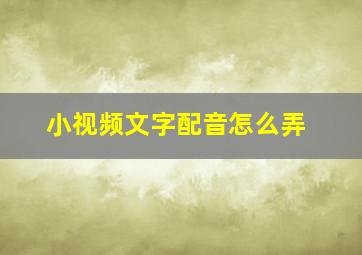 小视频文字配音怎么弄