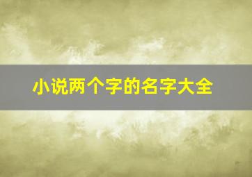 小说两个字的名字大全