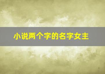 小说两个字的名字女主