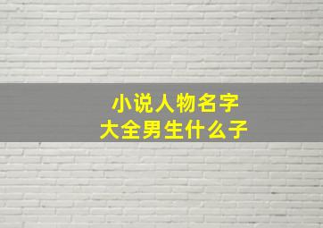 小说人物名字大全男生什么子