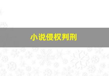 小说侵权判刑