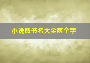 小说取书名大全两个字