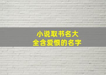 小说取书名大全含爱恨的名字