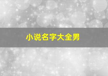 小说名字大全男