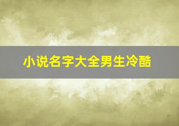 小说名字大全男生冷酷