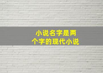 小说名字是两个字的现代小说