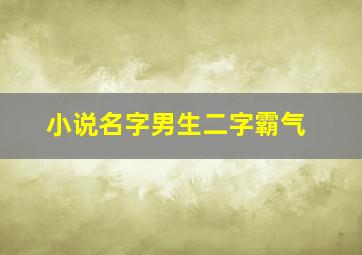 小说名字男生二字霸气