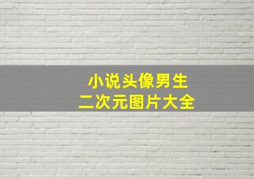 小说头像男生二次元图片大全