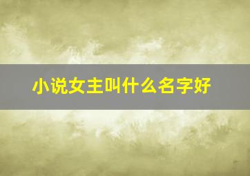 小说女主叫什么名字好