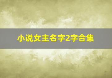 小说女主名字2字合集