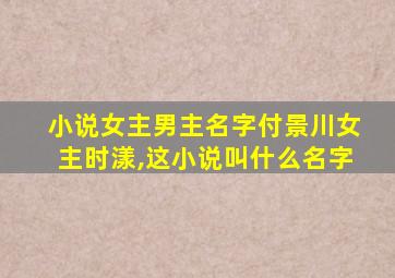 小说女主男主名字付景川女主时漾,这小说叫什么名字