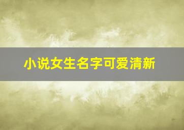 小说女生名字可爱清新