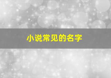 小说常见的名字