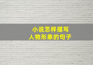 小说怎样描写人物形象的句子