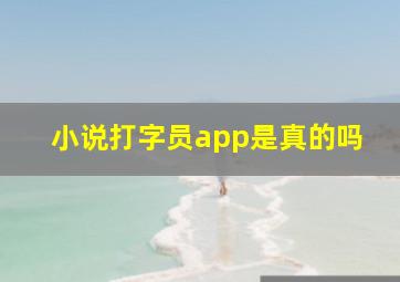 小说打字员app是真的吗