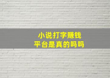 小说打字赚钱平台是真的吗吗