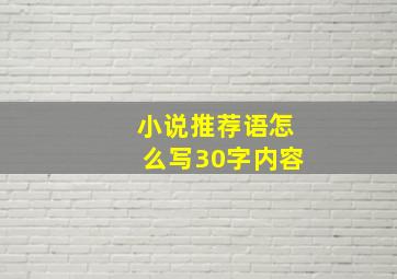 小说推荐语怎么写30字内容