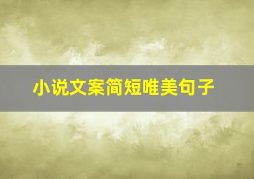 小说文案简短唯美句子