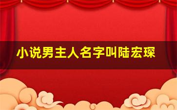 小说男主人名字叫陆宏琛