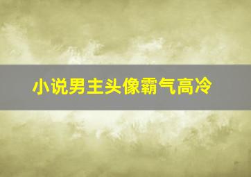 小说男主头像霸气高冷