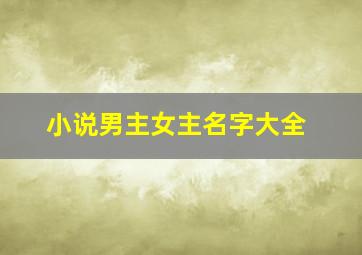 小说男主女主名字大全