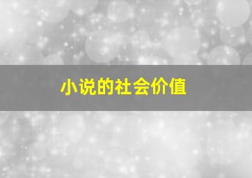 小说的社会价值