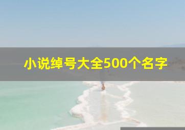 小说绰号大全500个名字