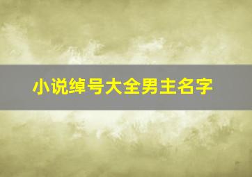 小说绰号大全男主名字