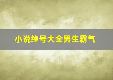 小说绰号大全男生霸气