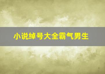 小说绰号大全霸气男生