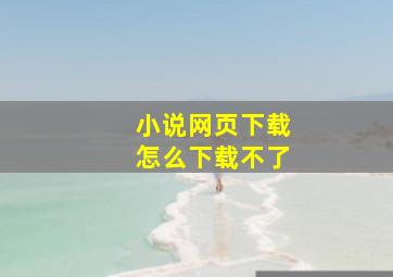 小说网页下载怎么下载不了