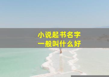 小说起书名字一般叫什么好