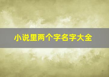 小说里两个字名字大全