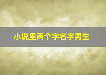 小说里两个字名字男生