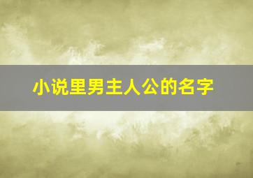 小说里男主人公的名字