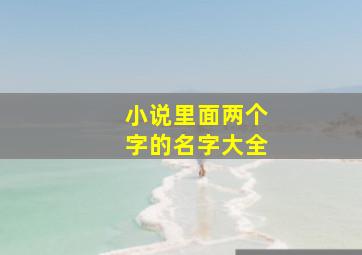 小说里面两个字的名字大全