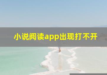 小说阅读app出现打不开