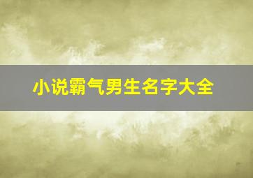 小说霸气男生名字大全