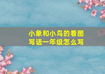 小象和小鸟的看图写话一年级怎么写