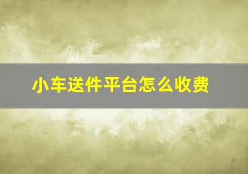 小车送件平台怎么收费