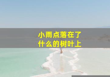 小雨点落在了什么的树叶上