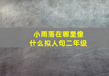 小雨落在哪里像什么拟人句二年级