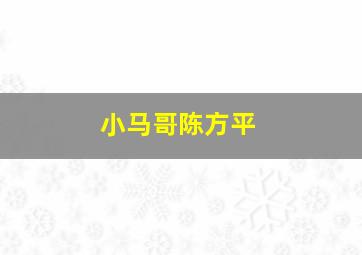 小马哥陈方平