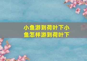 小鱼游到荷叶下小鱼怎样游到荷叶下