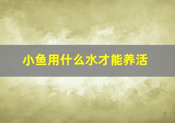 小鱼用什么水才能养活