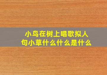 小鸟在树上唱歌拟人句小草什么什么是什么